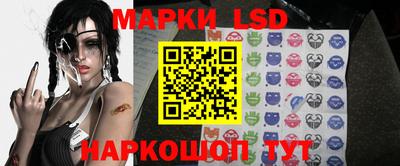 apvp Можга