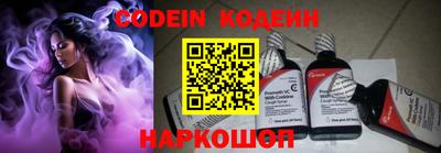 apvp Можга