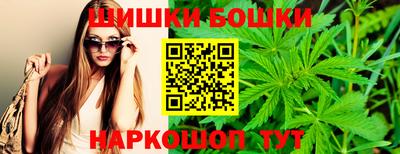 гидра Можайск