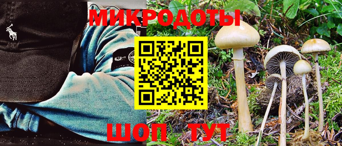 Галлюциногенные грибы Magic Shrooms Барнаул
