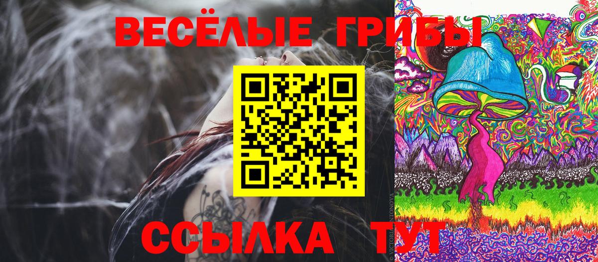 Барнаул  Галлюциногенные грибы прущие грибы  Вход с VPN 