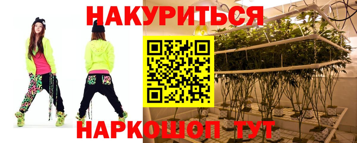 Марихуана планчик  Марихуана SATIVA & INDICA  Барнаул  Марихуана тримм  Вход с VPN  Канабис Bruce Banner 